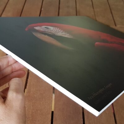 Impression Photographies paysage sur supports